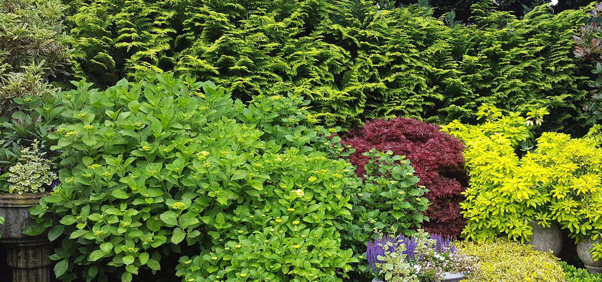 Pflegeleichter Garten Tipps Bonava