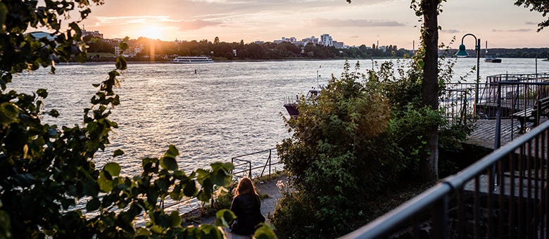 Sonnenuntergang am Rheinufer in Bonn; Blick über den Rhein mit vorbeifahrendem Schiff, Bäumen und Geländer im Vordergrund.