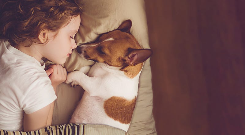 Kind schläft ganz dicht neben einem Hund